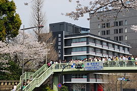 人だらけの歩道橋